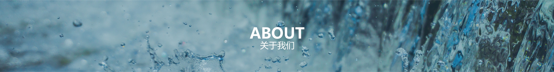 开云球赛中国有限公司